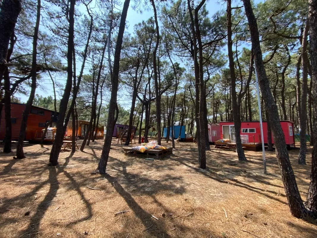 Tiny House